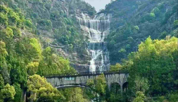 Exploring Historical Culture