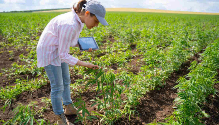 Koda Pro A Comprehensive User Guide